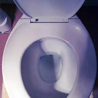 Standard western toilet