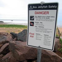 Box Jellyfish warning in Darwin, Australia