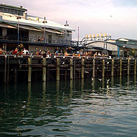 Fish and Chips at the Wharf