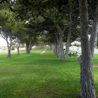 Foreshore at Ceduna