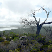 Coffin Bay National Park