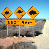 Nullabor Road Sign
