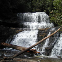 Lady Barron Fall at Mt Field National Park