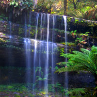Waterfall at Mount Field National Park Tasmania