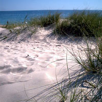 sand dunes at North Cott