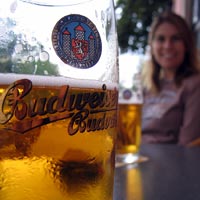 Czech Beer - the best in the world?