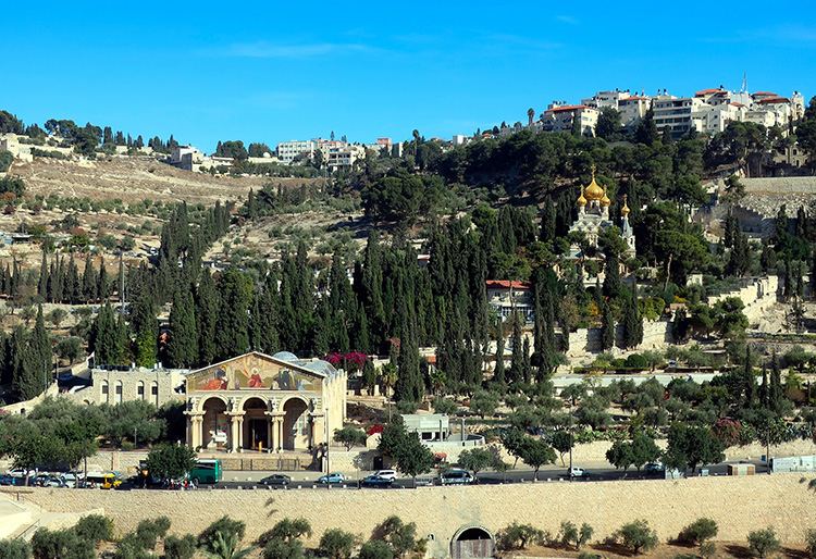 Mount of Olives