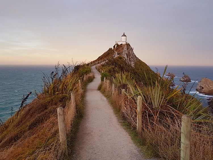 Nugget Point in the Otago region of the South Island of New Zealand.