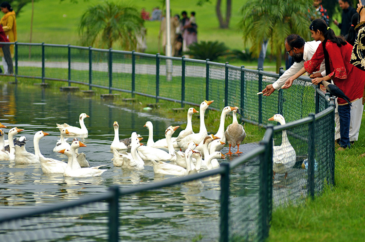 Zoo in Pakistan