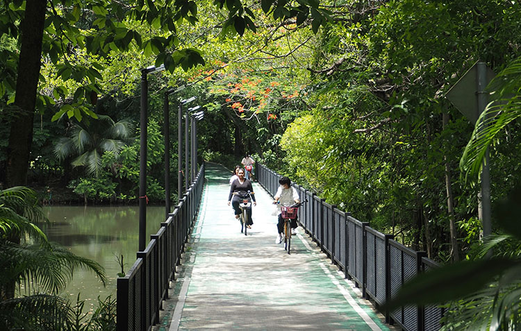 Rot Fai Park, Bangkok