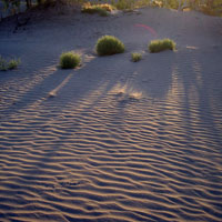 long shadows on the dunes