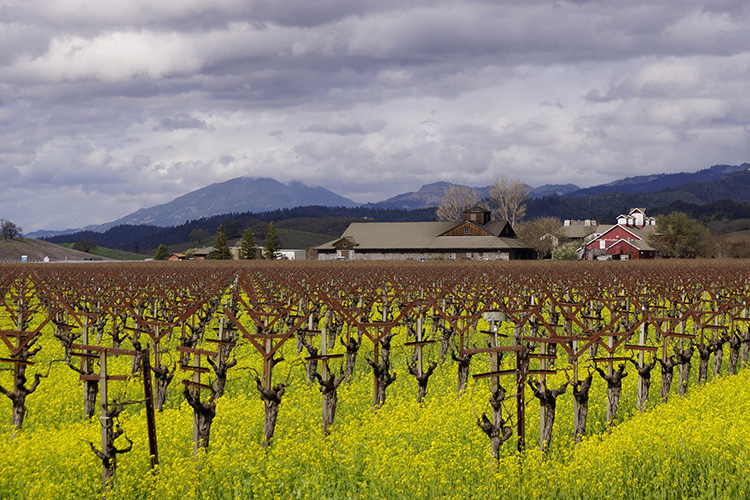 Napa Valley, California