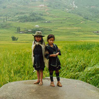 Photo from Vietnam