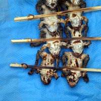 Roasted frogs on a stick