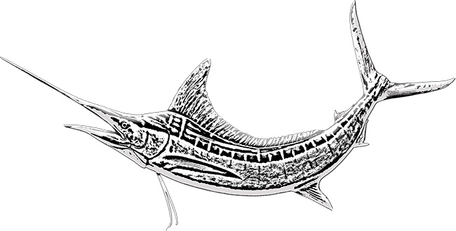 marlin sasilfish swordfish