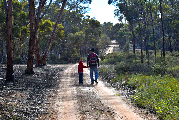 bushwalking