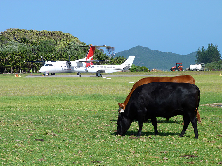 landing at Lord Howe Island